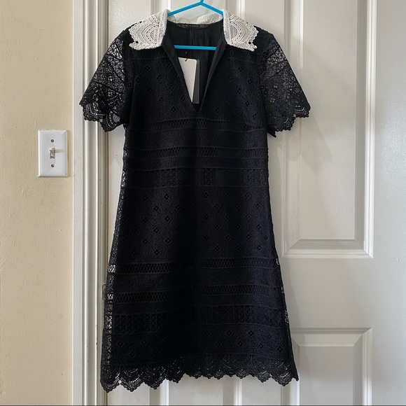 NWT Zara Black Lace Collared Shift A Line Dress XS - Picture 3 of 14